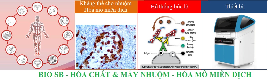 BIO SB SLIDE